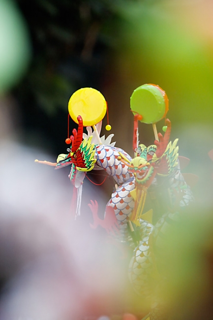 BKK-JAN09-Nouvel an chinois-101